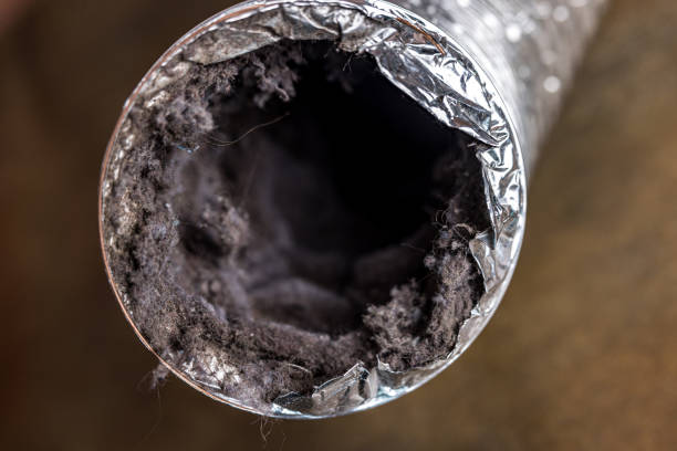 Best Residential Air Duct Cleaning  in Bakersfield, CA